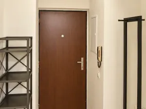 Pronájem bytu 2+kk, Praha - Vinohrady, Mánesova, 55 m2
