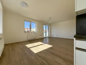 Pronájem bytu 2+kk, Brno - Ponava, Střední, 60 m2