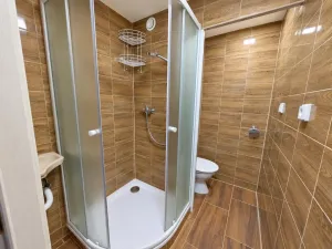 Pronájem bytu 1+kk, Chodov, náměstí 9. května, 20 m2