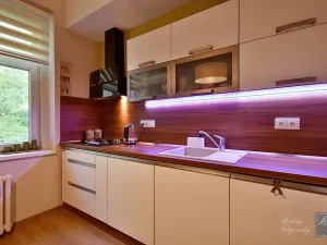Prodej bytu 1+1, Ústí nad Labem, Masarykova, 40 m2