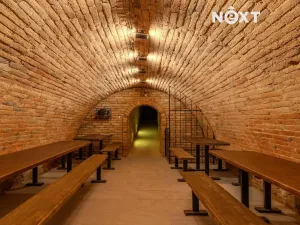 Prodej vinného sklepa, Bulhary, 43 m2