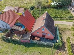 Prodej vinného sklepa, Bulhary, 43 m2