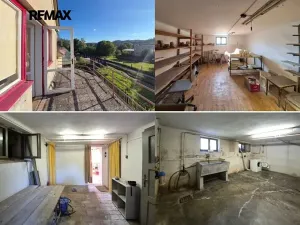 Prodej vícegeneračního domu, Letovice, Pražská, 330 m2