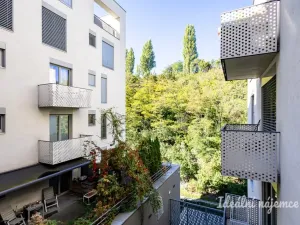 Pronájem bytu 2+kk, Praha - Žižkov, Hartigova, 44 m2