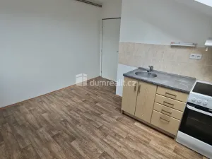 Pronájem bytu 1+1, Děčín - Děčín X-Bělá, Družstevní, 33 m2