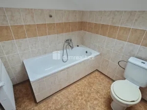 Pronájem bytu 1+1, Děčín - Děčín X-Bělá, Družstevní, 33 m2