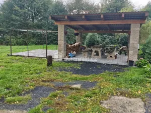 Pronájem bytu 1+1, Děčín - Děčín X-Bělá, Družstevní, 33 m2