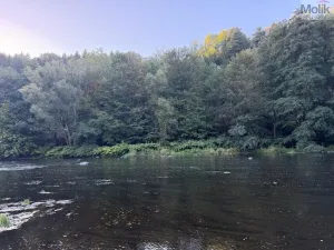 Prodej chaty, Stráž nad Ohří - Boč, 35 m2