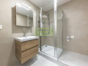 Pronájem bytu 3+kk, Praha, Řešovská, 56 m2