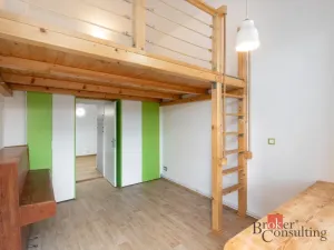 Pronájem bytu 2+1, Opava - Předměstí, Olomoucká, 73 m2