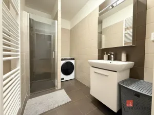 Pronájem bytu 2+kk, Opava - Předměstí, Provaznická, 56 m2