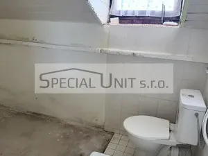 Prodej rodinného domu, Dobrovice - Holé Vrchy, 250 m2
