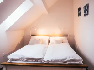 Pronájem chalupy, Mojné - Černice, 1065 m2