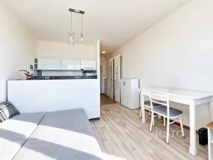 Prodej bytu 1+kk, Ústí nad Labem - Ústí nad Labem-centrum, SNP, 21 m2