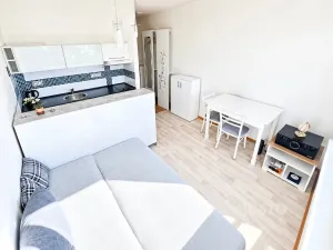 Prodej bytu 1+kk, Ústí nad Labem - Ústí nad Labem-centrum, SNP, 21 m2