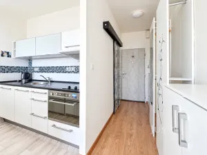 Prodej bytu 1+kk, Ústí nad Labem - Ústí nad Labem-centrum, SNP, 21 m2
