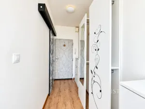 Prodej bytu 1+kk, Ústí nad Labem - Ústí nad Labem-centrum, SNP, 21 m2