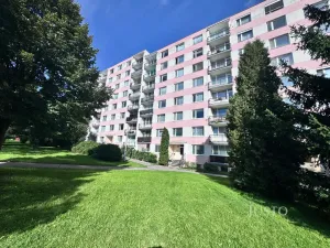 Prodej bytu 1+kk, Ústí nad Labem - Ústí nad Labem-centrum, SNP, 21 m2