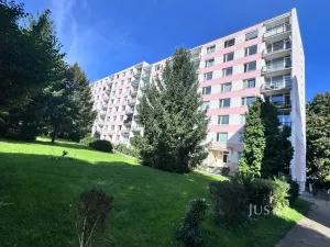 Prodej bytu 1+kk, Ústí nad Labem - Ústí nad Labem-centrum, SNP, 21 m2