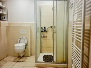Prodej zemědělského objektu, Loučany, 250 m2