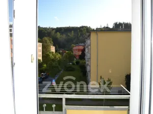 Pronájem bytu 2+1, Vsetín, Družstevní, 56 m2