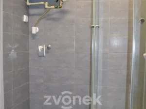 Pronájem bytu 2+1, Vsetín, Družstevní, 56 m2