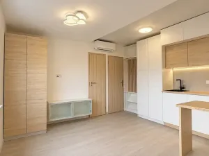 Pronájem bytu 1+kk, Děčín, Liliová, 21 m2