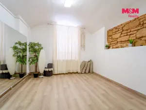 Pronájem obchodního prostoru, Plzeň - Východní Předměstí, Radyňská, 109 m2