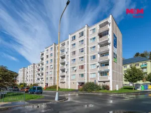 Prodej bytu 1+1, Kraslice, Svatopluka Čecha, 40 m2