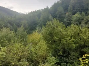 Prodej pozemku pro bydlení, Hlubočky - Hrubá Voda, 667 m2