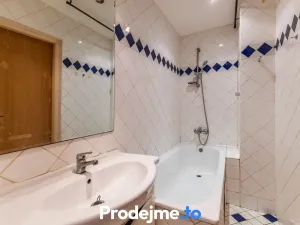 Prodej bytu 1+1, Znojmo, 17. listopadu, 42 m2