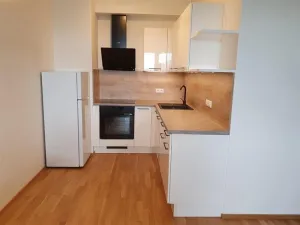 Pronájem bytu 2+kk, Praha - Holešovice, Argentinská, 60 m2