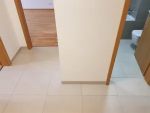 Pronájem bytu 2+kk, Praha - Holešovice, Argentinská, 60 m2