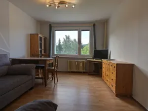 Pronájem bytu 1+1, Rokytnice nad Jizerou - Horní Rokytnice, 37 m2