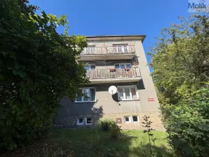 Prodej bytu 3+1, Meziboří, Hornická, 57 m2