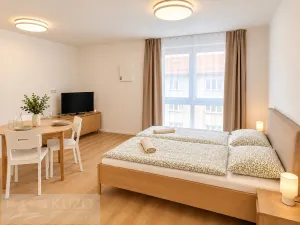 Pronájem bytu 1+kk, Brno, Auerswaldova, 32 m2