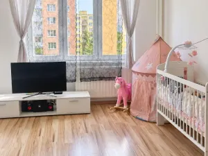 Prodej bytu 1+1, Chomutov, Zahradní, 35 m2