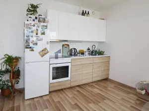 Pronájem bytu 1+kk, Praha, Ke kříži, 33 m2