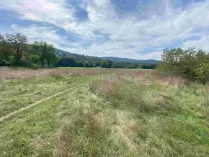 Dražba louky, Všenory, 601 m2