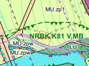 Dražba louky, Potštejn, 950 m2