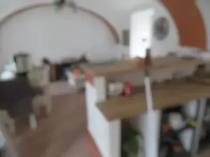 Dražba rodinného domu, Jílovice, 20 m2