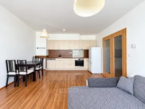 Pronájem bytu 2+kk, České Budějovice - České Budějovice 3, B. Smetany, 58 m2