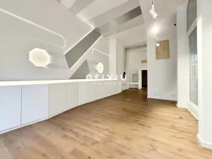 Pronájem obchodního prostoru, Brno, náměstí Svobody, 120 m2