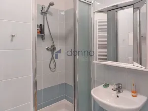 Pronájem bytu 1+kk, Praha, V dolině, 32 m2