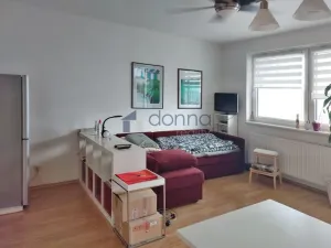 Pronájem bytu 1+kk, Praha, V dolině, 32 m2