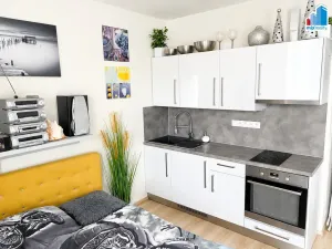 Prodej bytu 1+kk, Plzeň - Jižní Předměstí, Kollárova, 38 m2