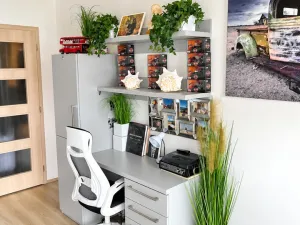 Prodej bytu 1+kk, Plzeň - Jižní Předměstí, Kollárova, 38 m2