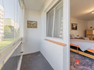 Prodej bytu 2+1, Mladá Boleslav - Mladá Boleslav II, Palackého, 64 m2