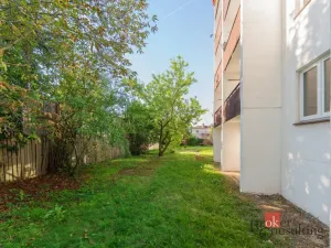 Prodej bytu 2+1, Mladá Boleslav - Mladá Boleslav II, Palackého, 64 m2