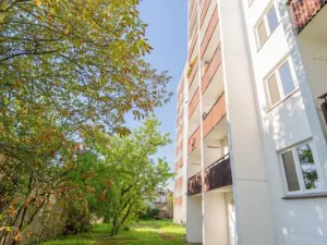 Prodej bytu 2+1, Mladá Boleslav - Mladá Boleslav II, Palackého, 64 m2